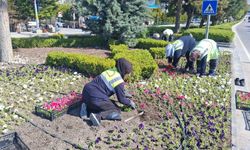 Beypazarı ilçesinde park ve refüjler çiçeklendirildi