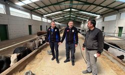 Çubuk'ta kurbanlık satışı ve kesim yerleri denetleniyor