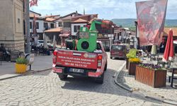 Güdül’de haşereyle mücadele çalışmaları sürüyor