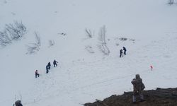 Artvin'de çığ altında kalan çoban için arama çalışması yeniden başlatıldı