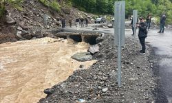 Artvin'de etkili sağanak; dere taştı, köprü hasar gördü