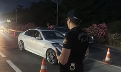 Bodrum'da bayram hareketliliği; polis ekiplerinden ilçe girişinde denetim