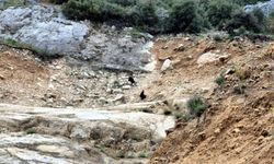 Dağlık alanda mahsur kalan 2 çocuk kurtarıldı