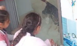 Kedi, öğrencilerin duyduğu miyavlama sesi sayesinde kurtarıldı