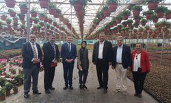 Anneler günü öncesi çiçek seralarında yoğun mesai