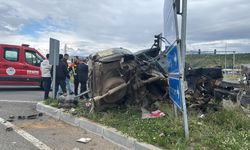 Hayvan yüklü kamyon, 2 otomobile çarptı; 2 yaralı