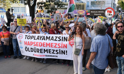 “Hayvanları Koruma Kanununda etkin bir yaptırım yok”