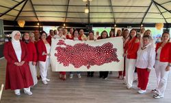 Kadınların el emeği motifleri, dev Türkiye haritasına dönüştü