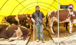 Besici emek veriyor ama karşılığını alamıyor