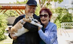 Papyonlu kedi 'Foça', emekli çiftin hayatını değiştirdi