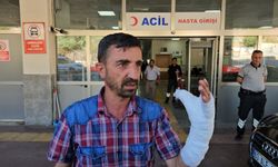 Şanlıurfa’da kurban kesimi sırasında 232 kişi yaralandı