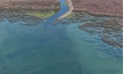Sapanca Gölü'nde su seviyesi yükseldi