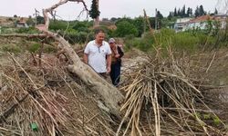 Tarihi Taşköprü'nün üzeri yine atıklarla kaplandı