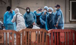 AB, hantavirüs nedeniyle Entegre Siyasi Kriz Müdahale mekanizmasını aktif hale getirdi