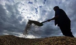 Bakan Yumaklı, yaklaşık 6,5 milyar lira tarımsal destekleme ödemesinin bugün yapılacağını bildirdi