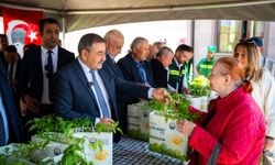 Gölbaşı’nda 190 bin Ata tohumu fidesi vatandaşlara dağıtıldı