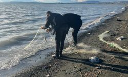 Van Gölü'ne atılan 200 metre uzatma ağında yakalanan 100 kilo canlı balık, tekrar suya bırakıldı