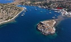 Bodrum'da denizden 250 kilogram çöp çıktı
