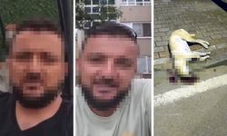 Oğlunu ısıran köpeği öldüren kişiye verilen beraat kararını istinaf bozdu