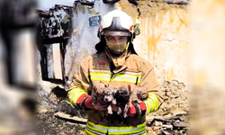 Yangında mahsur kalan köpek ve 4 yavrusu tedaviye alındı