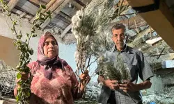 İpek böcekçiliğinin 3'üncü kuşak temsilcisi