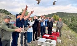 Kırşehir'de 900 keklik doğaya salındı