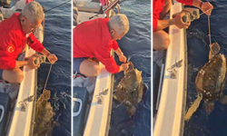 Ayağına parke taşı bağlanmış deniz kaplumbağasını kurtardılar