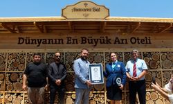 Adana'da hayata geçirilen 'arı oteli' dünyanın en büyüğü; Guinness tescil etti