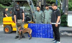 İstanbul'da durdurulan TIR'da 130 kilogram 'Eroin' ele geçirildi