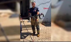 Evin lavabosuna giren yılanı ekipler çıkardı