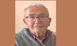 Kayıp kişinin topladığı mantarlar bulundu; kendisine ulaşılamadı