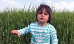 Leyla Aydemir davasında anne Şükran Aydemir dinlenecek
