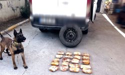 Minibüsün yedek lastiğine zulalanmış 11,5 kilo uyuşturucuyu ‘Hector’ buldu