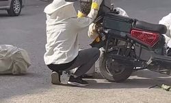 Motosiklette toplanan arıları, özel kıyafetiyle kovana topladı