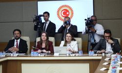 TBMM Okul Olaylarını Araştırma Komisyonu toplandı