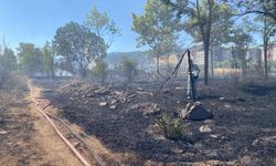 TIR'ın römorkunda çıkan yangın mahallede endişe yarattı: 50 ev tahliye edildi
