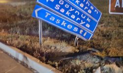Trafik levhasına çarpıp kaçan alkollü sürücüye 25 bin TL ceza