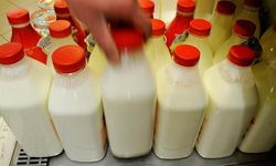 Türkiye'nin ayran, kefir ve yoğurt üretimi 4 ayda rekor seviyeye çıktı