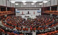 Tarım ve ormana yönelik düzenlemeleri de içeren kanun teklifi TBMM Genel Kurulunda kabul edildi