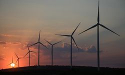 Yenilenebilir enerji üretimi mayısta zirveye ulaştı, kömür 22 yılın en düşük seviyesine geriledi