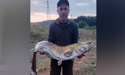 Amatör balıkçı oltayla 35 kilo yayın balığı yakaladı