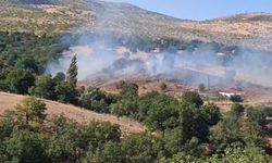 Beypazarı ilçesinde otluk alanlarda çıkan yangınlar söndürüldü