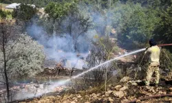 Yayladaki yangında 3 ev ile 2 ambar küle döndü