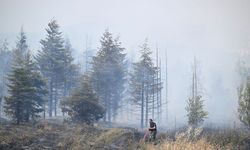 Ankara'da çıkan ot yangınına havadan ve karadan müdahale ediliyor