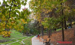 Başkentin gözde parkı dünya gündeminde
