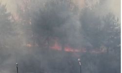 Ankara'da ODTÜ Ormanı'nda yangın