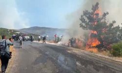 Aydın'daki orman yangınına müdahale devam ediyor