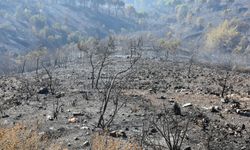 Balıkesir alevlerle mücadele ediyor