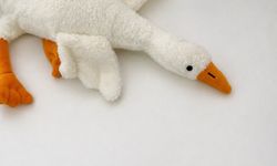 Bakanlıktan 'peluş kaz' oyuncağına yasak ve toplatma kararı