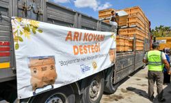 ABB’den arıcılara yüzde 50 hibeli kovan desteği